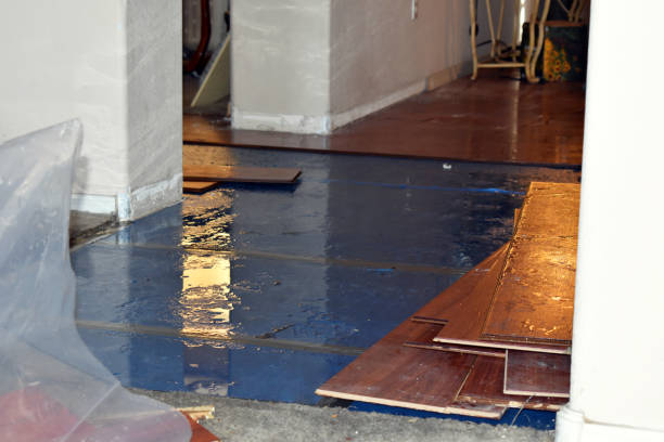 Professional Water Damage Restoration technician working in Alexandria, OH